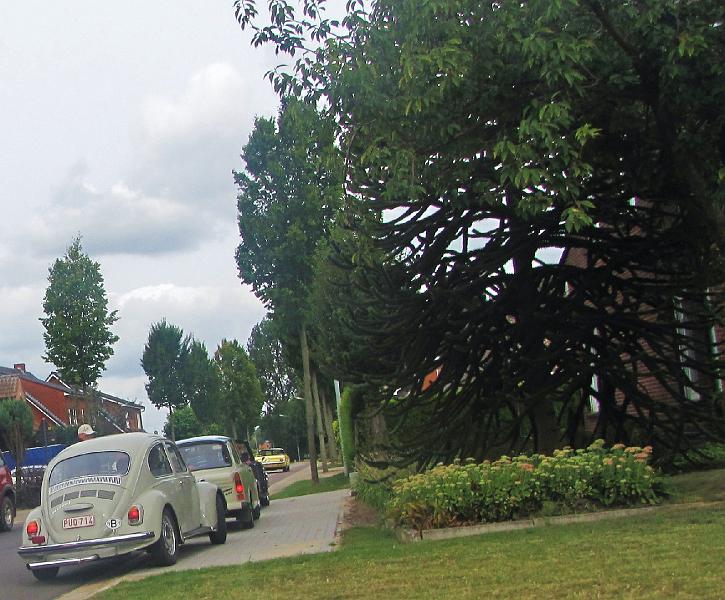 5e Taxandriarit op 1-9-2013 (22).JPG